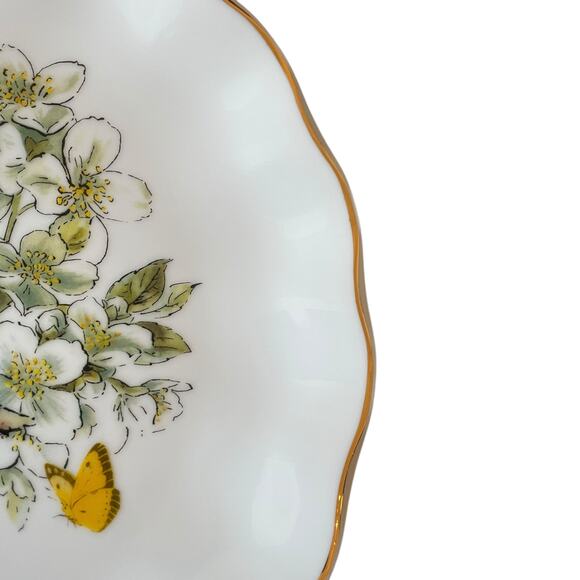 Beatrix Potter Peter Rabbit Easter Flowers & Butterflies Dinner Plates Set of 4 - Picture 10 of 15